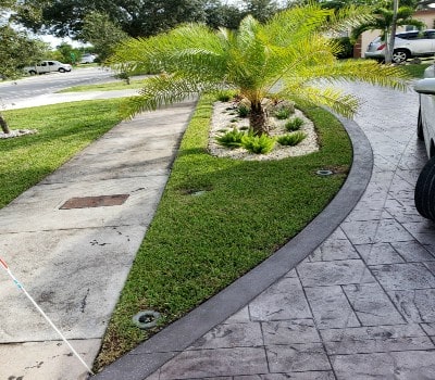 A freshly manicured Homestead front yard with a curved palm bed